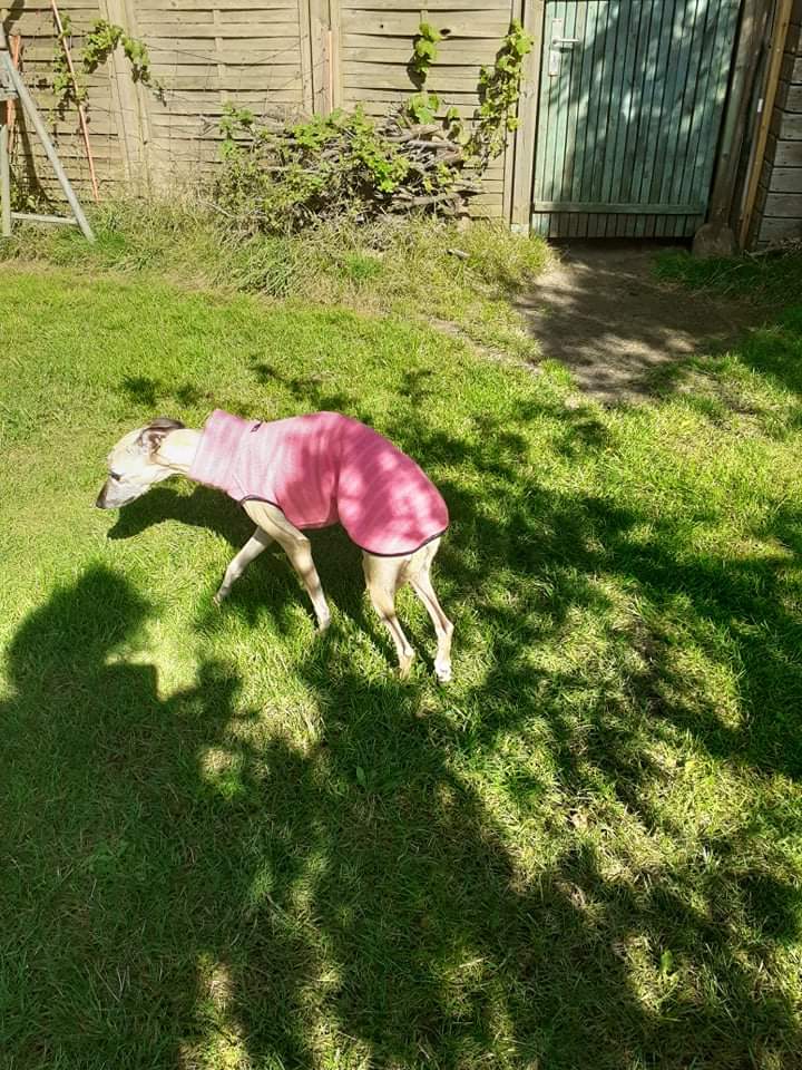 received 3014502462157121