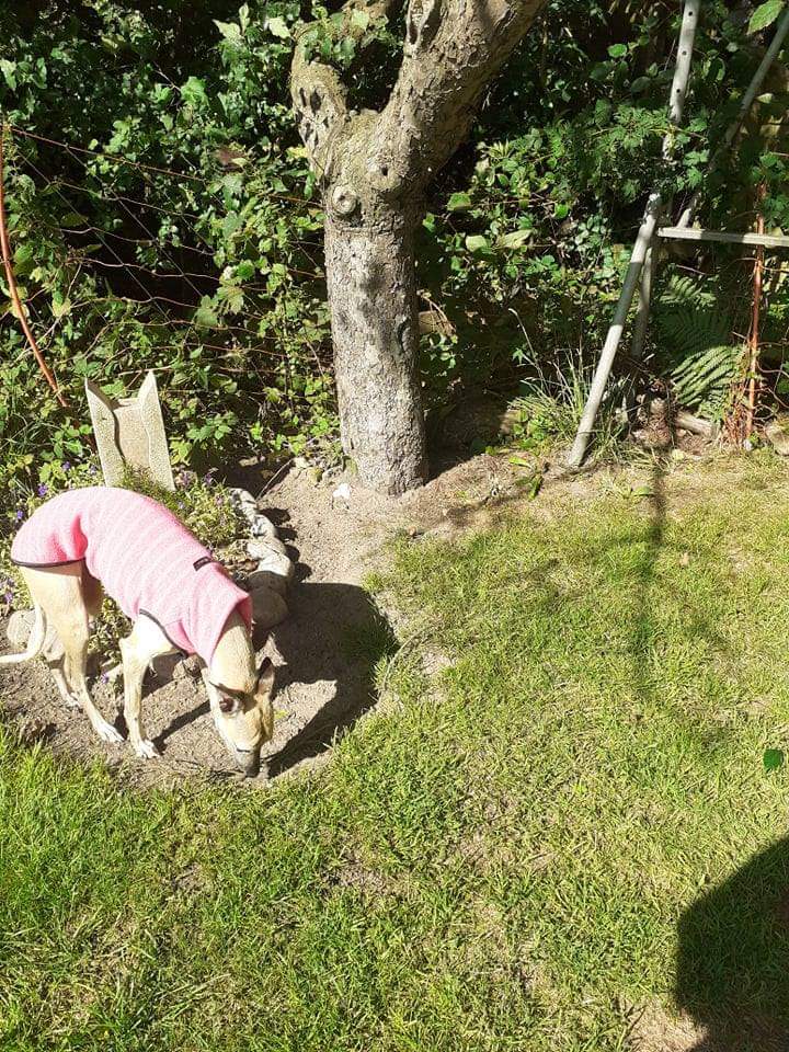 received 383621849823452