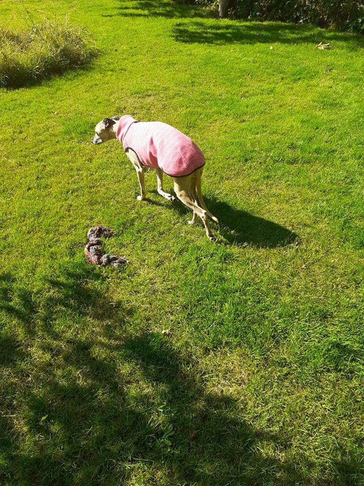 received 521924512228832