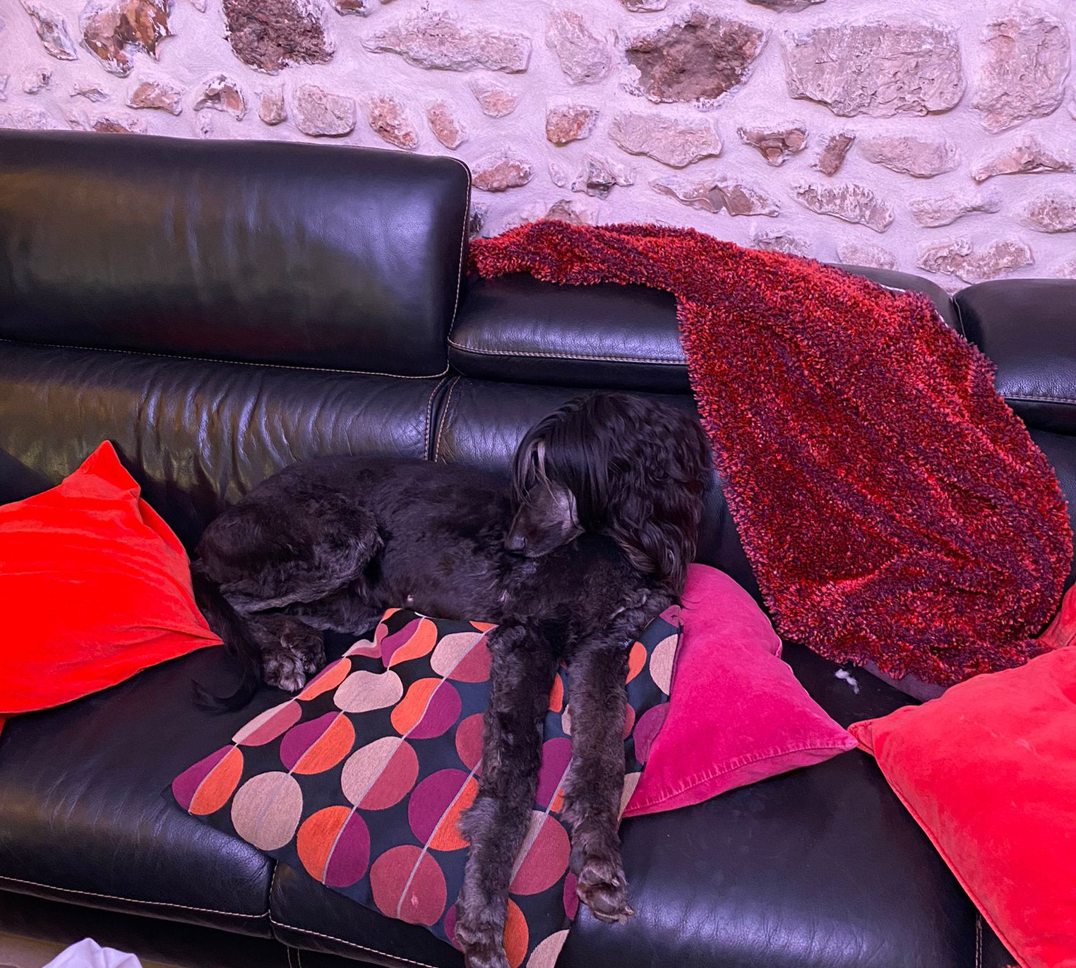 Afghanen auf der Suche...