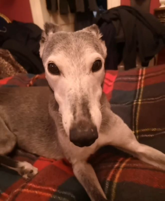 Happy birthday Trudi!!!