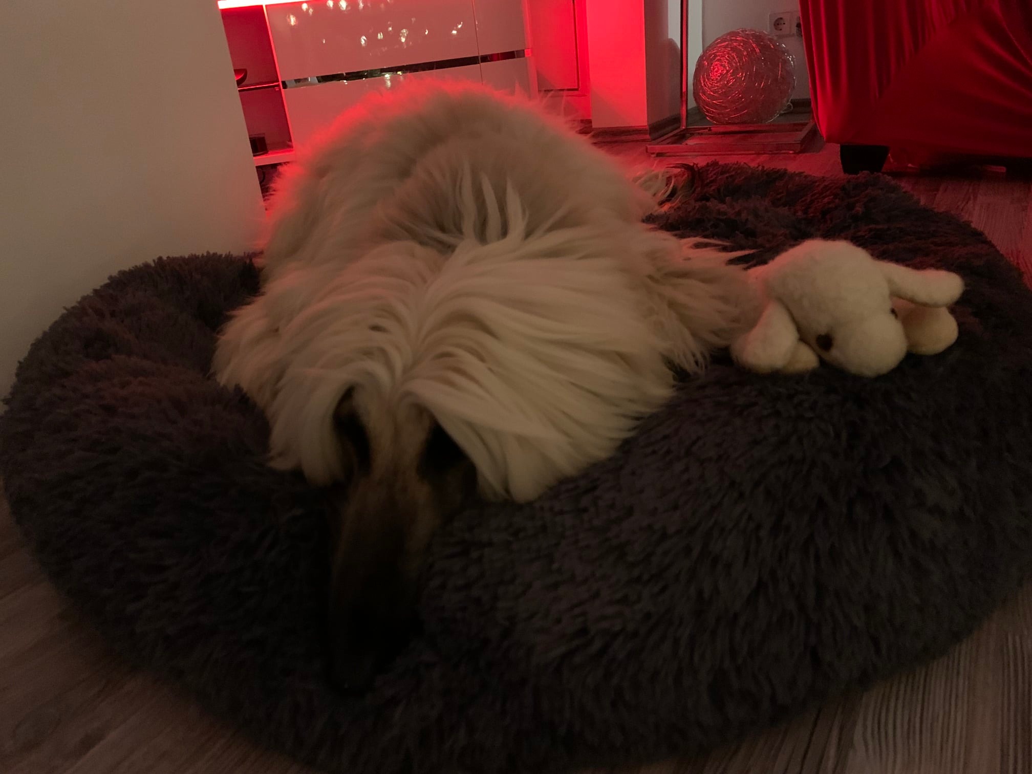 Unsere Prinzessin Johanna