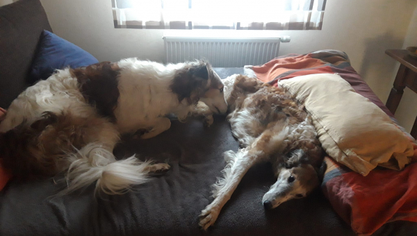 Lilli (ehemals Leonora)