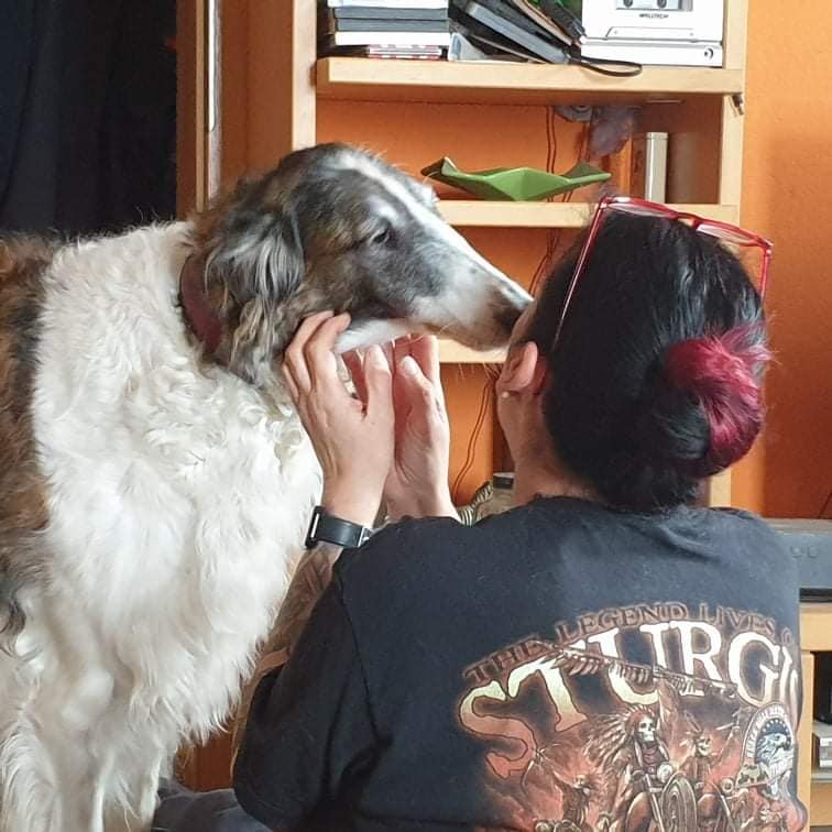 Kailah ist umgezogen