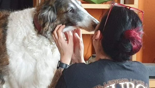 Kailah ist umgezogen