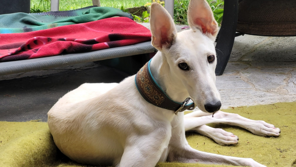 July hat ihr Zuhause gefunden