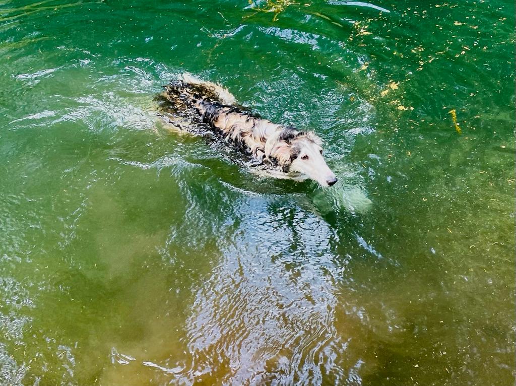 Ellie hat jetzt ein eigenes Zuhause