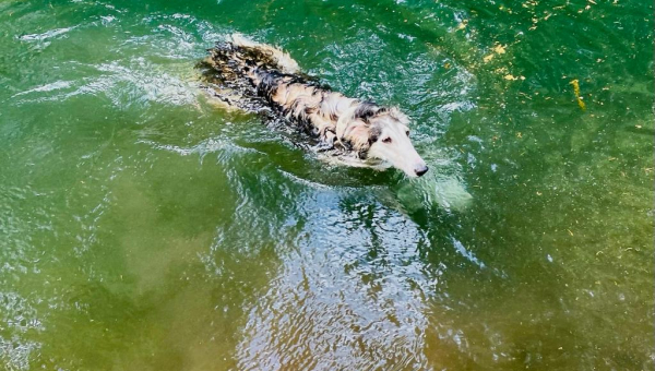 Ellie hat jetzt ein eigenes Zuhause