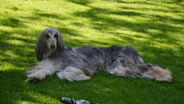 Eine schöne Zeit liebe Kathleen