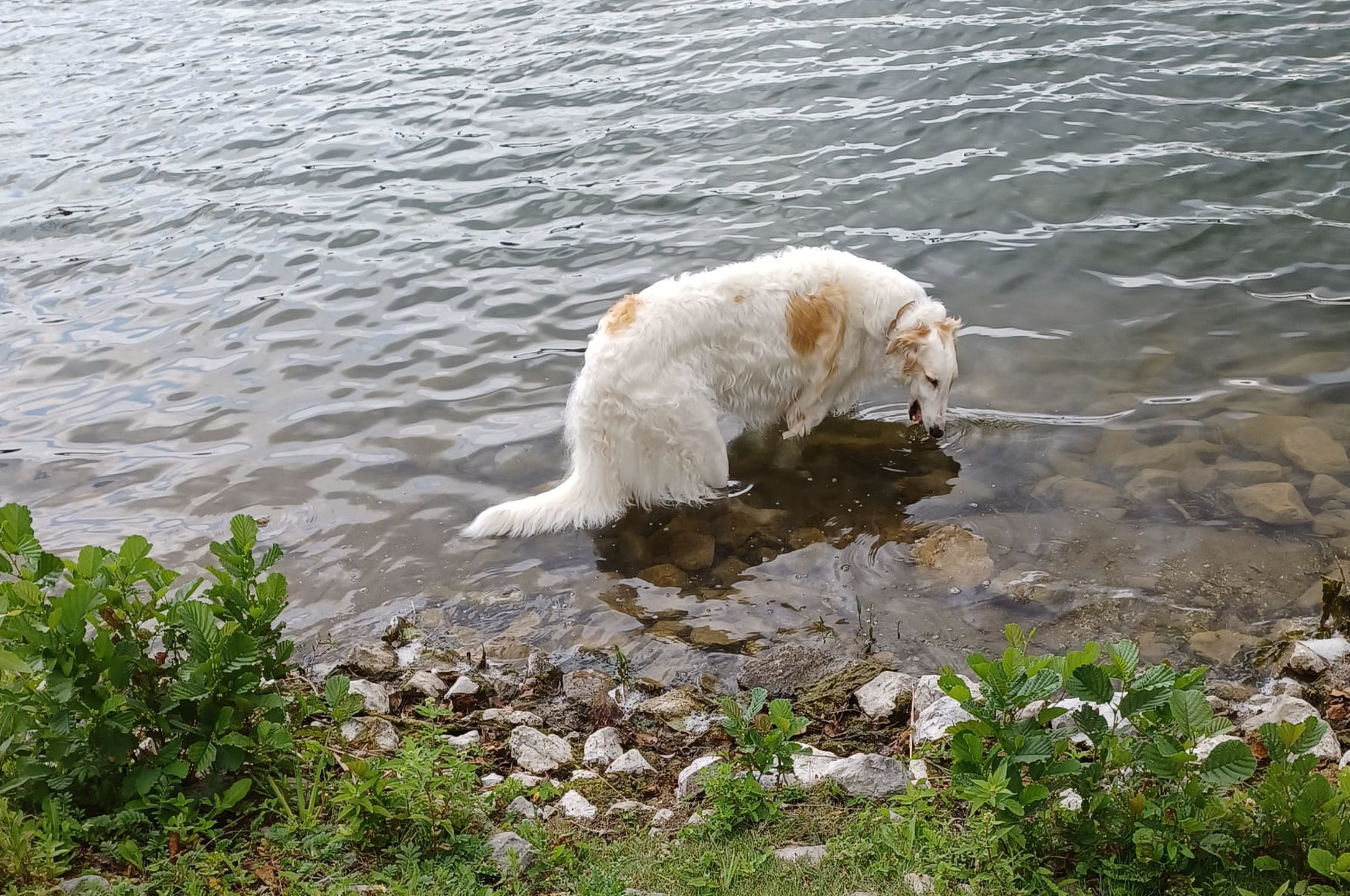 Alice im Wunderland :)