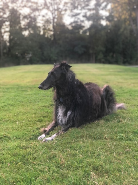 Und wieder ist ein Jahr vorbei