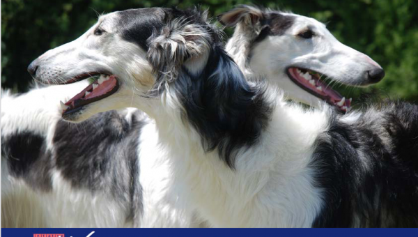 Kalender 2023 -Vorbestellung