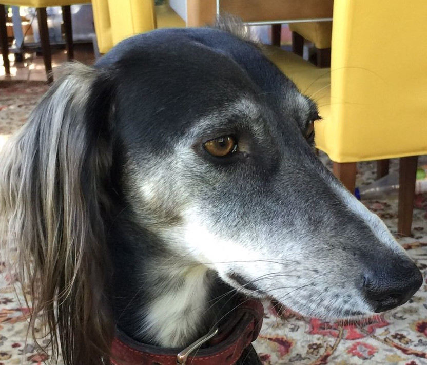 Ruhe in Frieden Kadaj