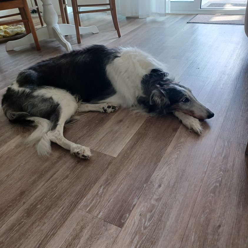 Herzlichen Glückwunsch lieber Juri!