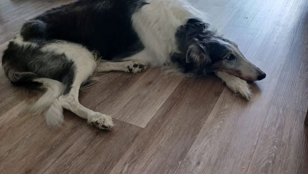 Herzlichen Glückwunsch lieber Juri!