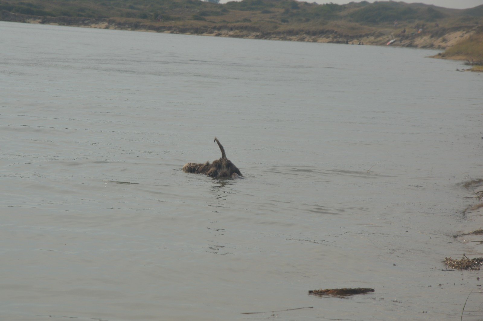 Herzliche Grüße von Kathleen