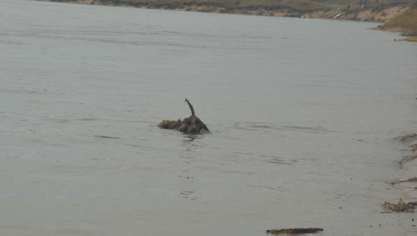 Herzliche Grüße von Kathleen