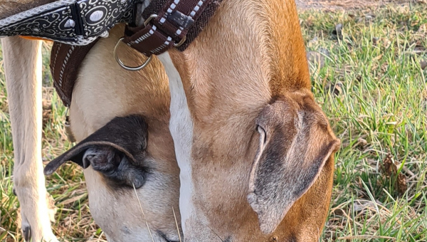 Grüße von Robi & Anique