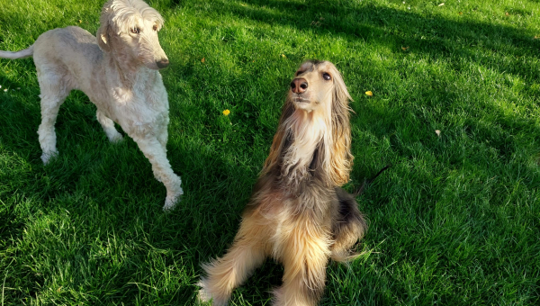 Naomi im neuen Zuhause