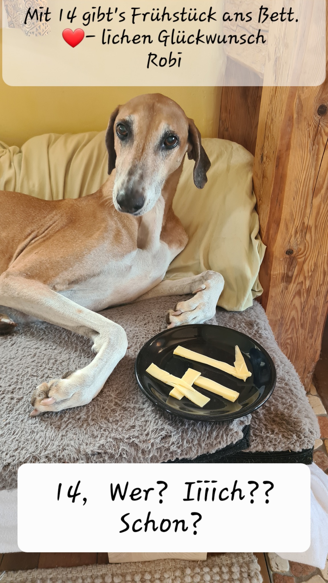 Herzlichen Glückwunsch Robi!