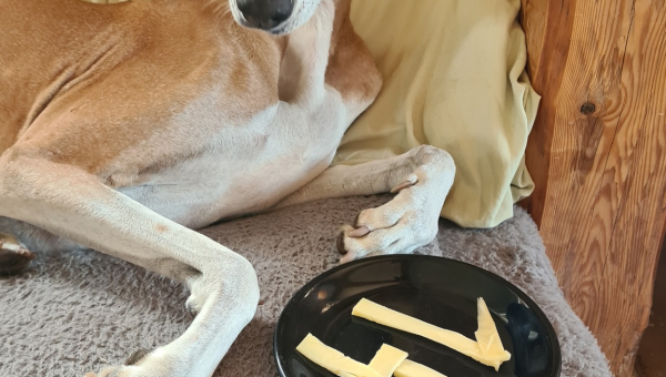 Herzlichen Glückwunsch Robi!