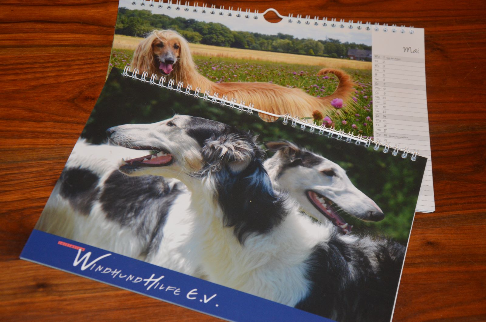 noch ein kleiner Vorgeschmack...