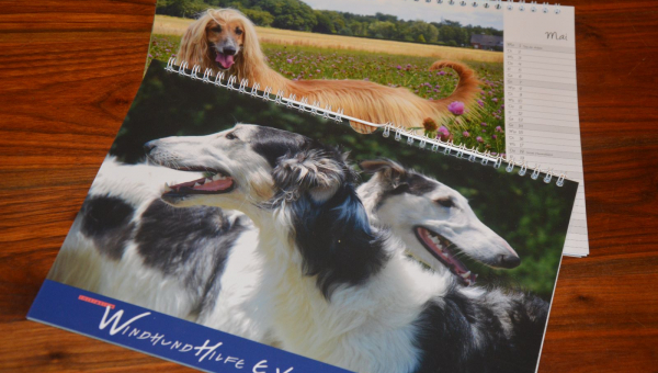 noch ein kleiner Vorgeschmack...