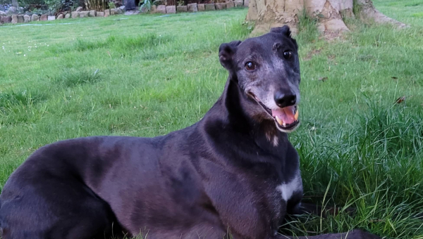 Hier mal wieder Grüße von unserer Q…