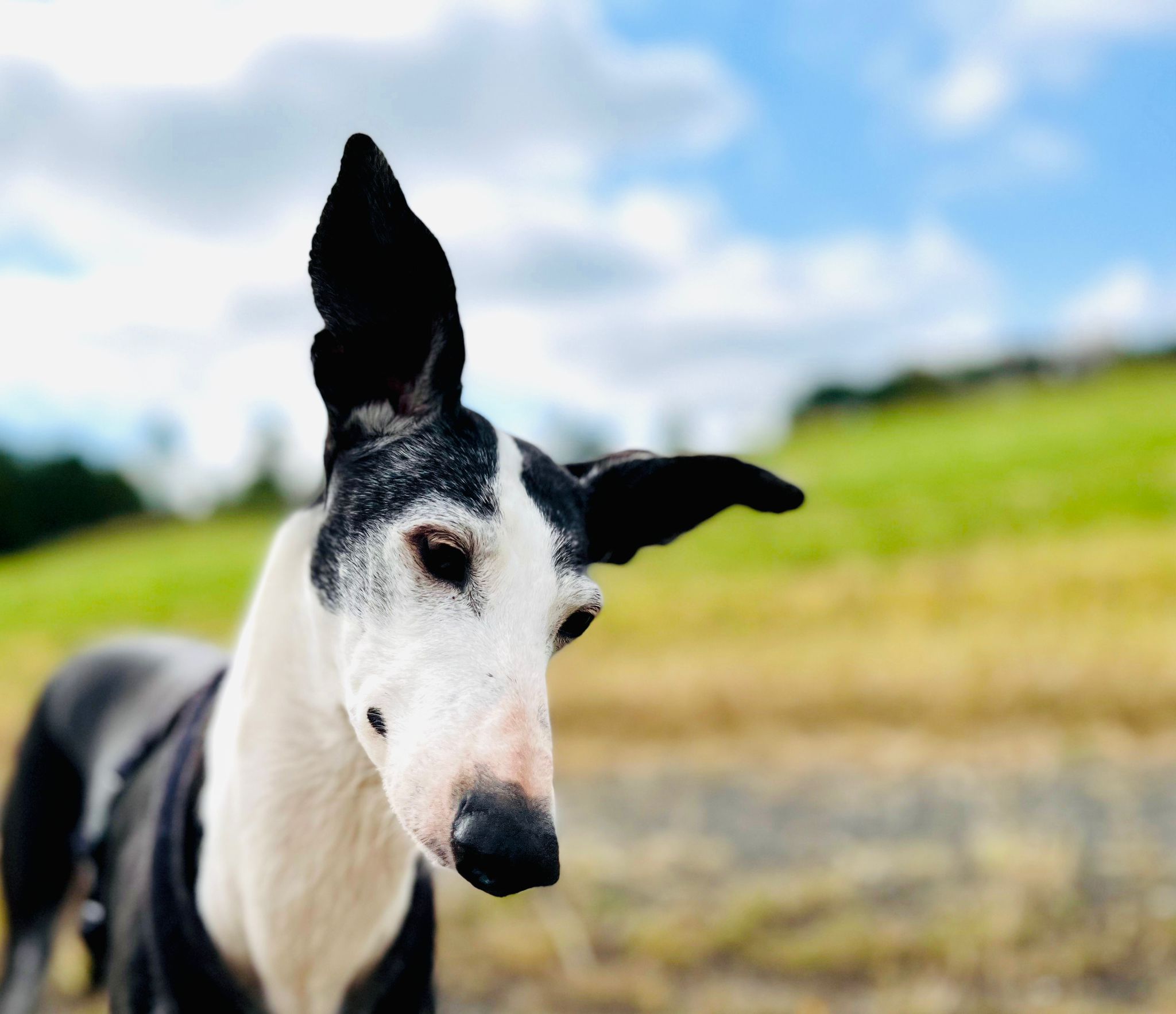 Alles Liebe kleine Mina