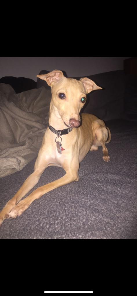 WhatsApp Image 2023 01 04 at 15.20.25 1