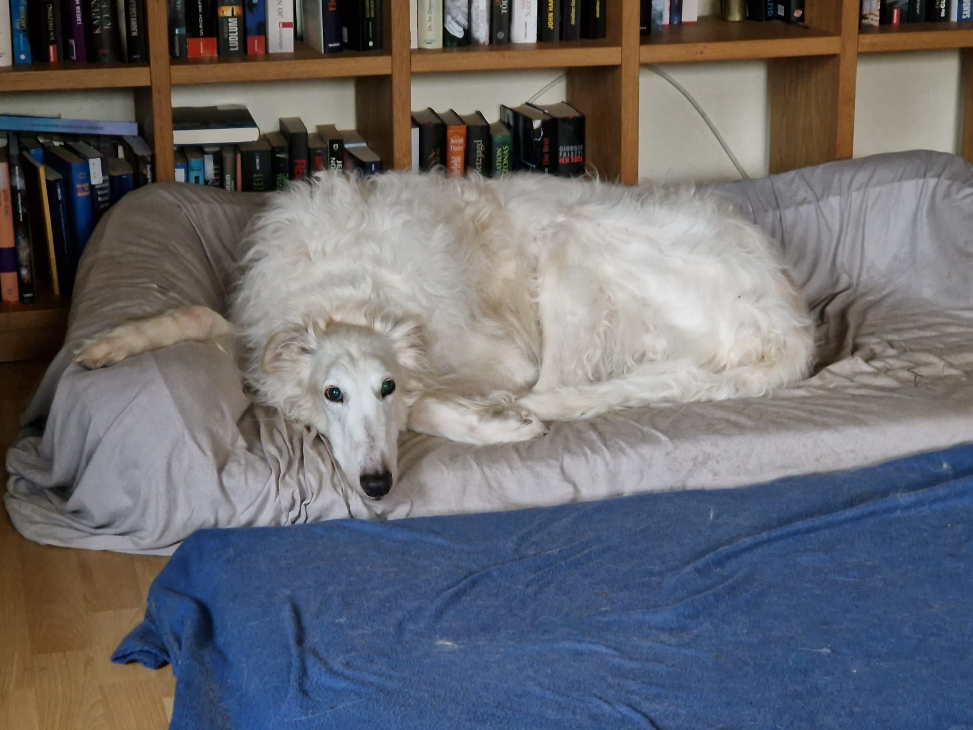 Jan ist jetzt bereit