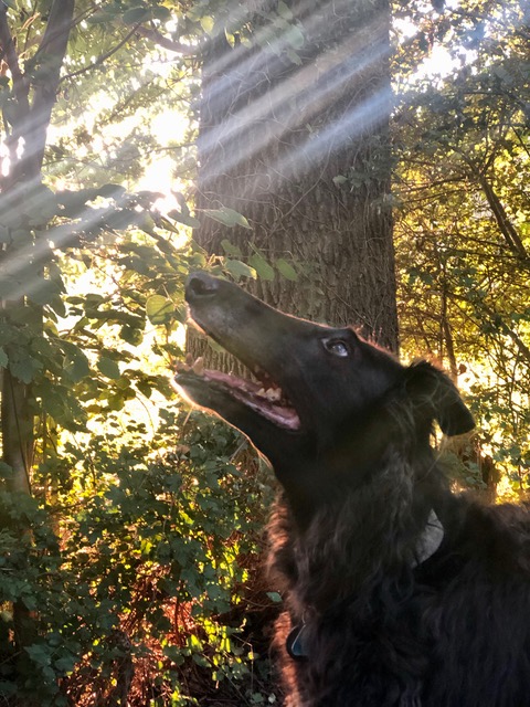 ab jetzt alles ohne Tink :(