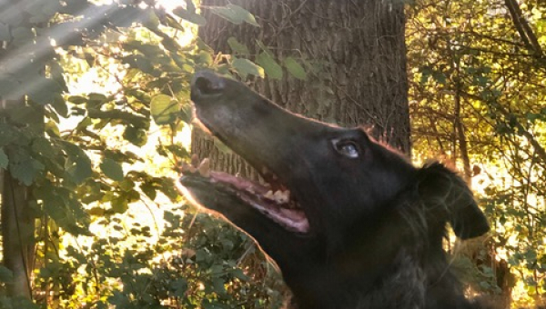 ab jetzt alles ohne Tink :(