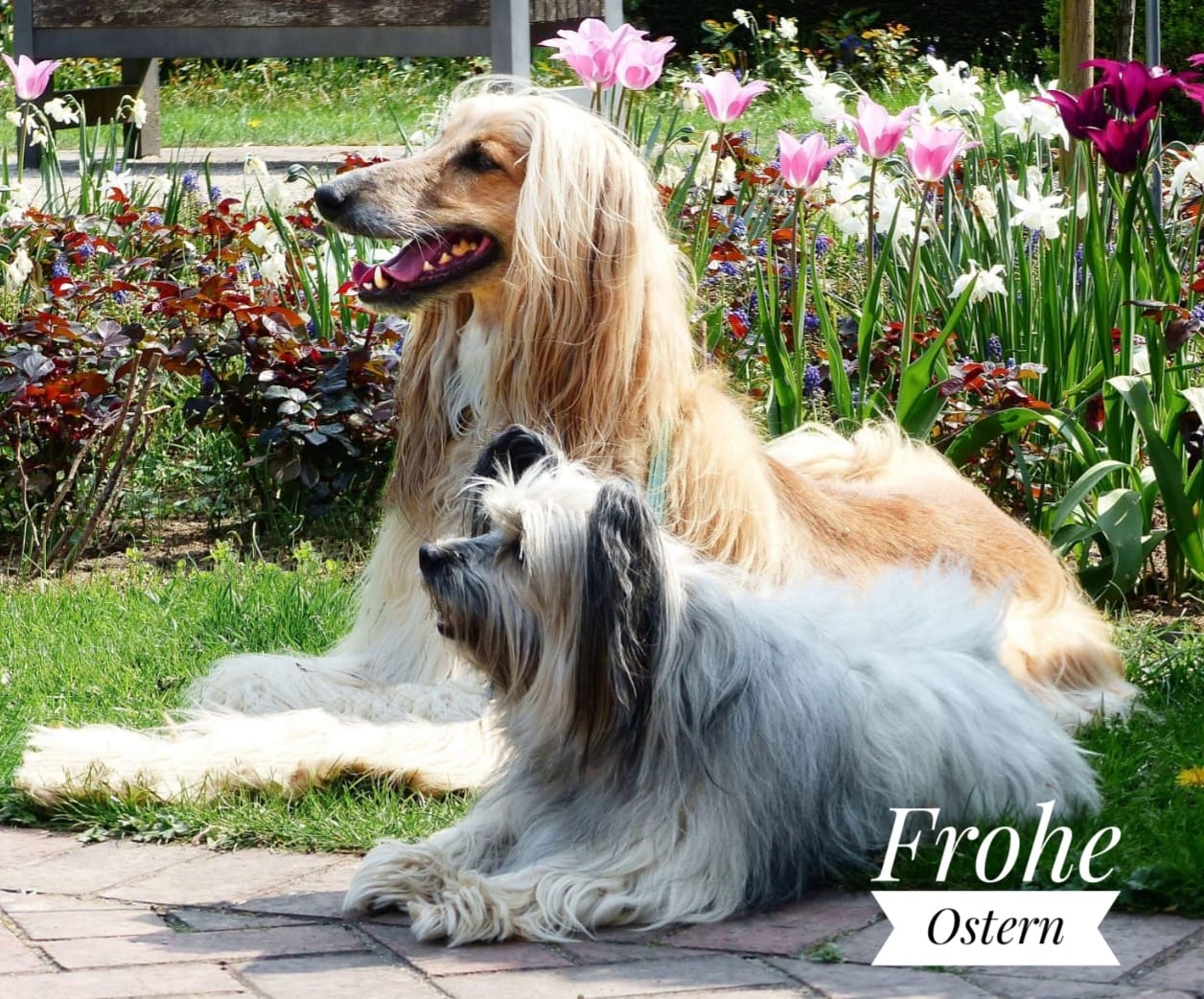 Ostern 2023