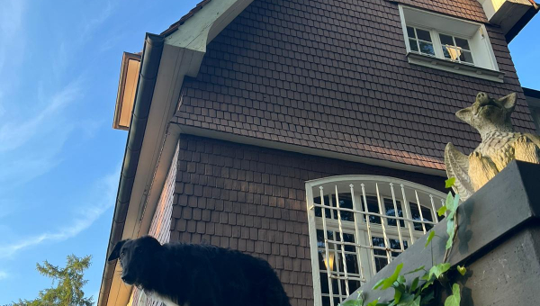 Wer ist der Wachsoi?