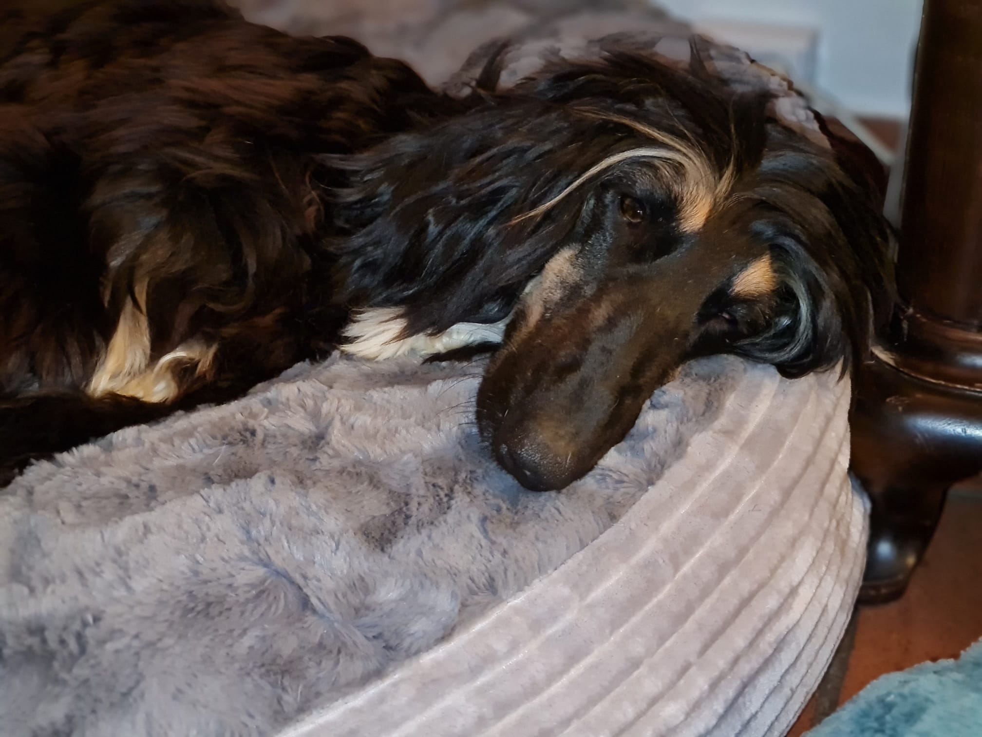 Welcome Terry & Yammy