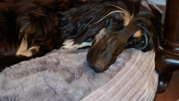 Welcome Terry & Yammy