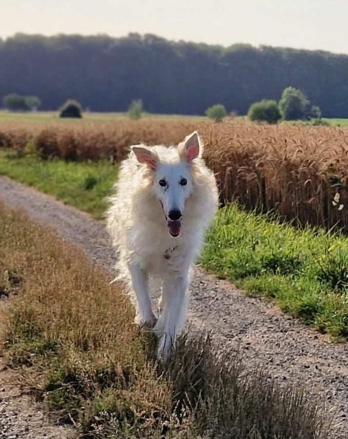 Jan wünscht einen schönen Sonntag
