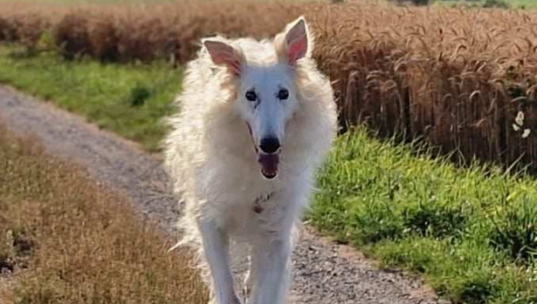 Jan wünscht einen schönen Sonntag