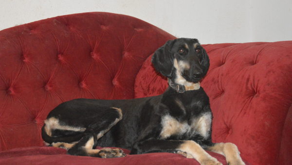 Penny will kein Model werden