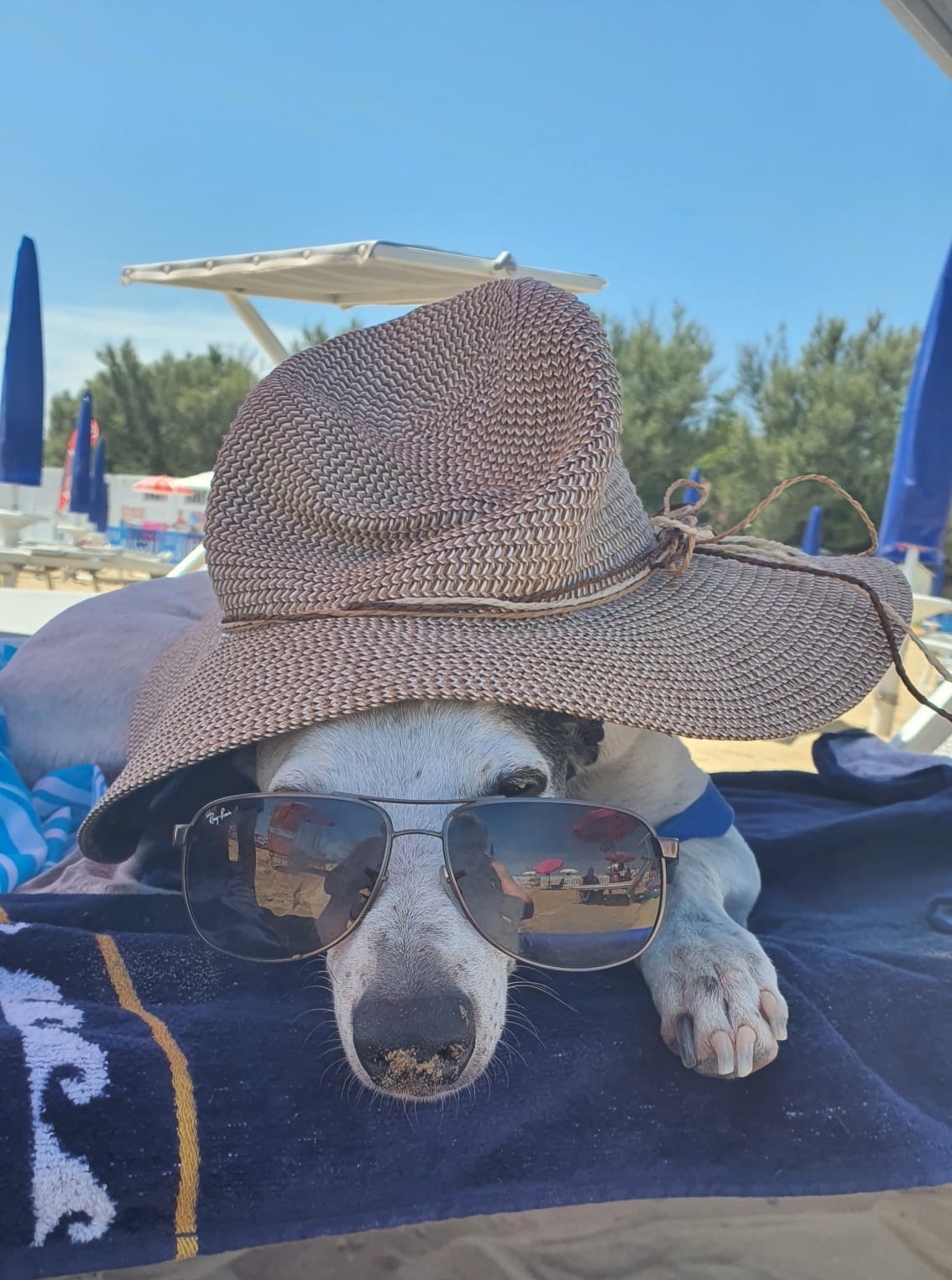 Willkommen im Wochenende