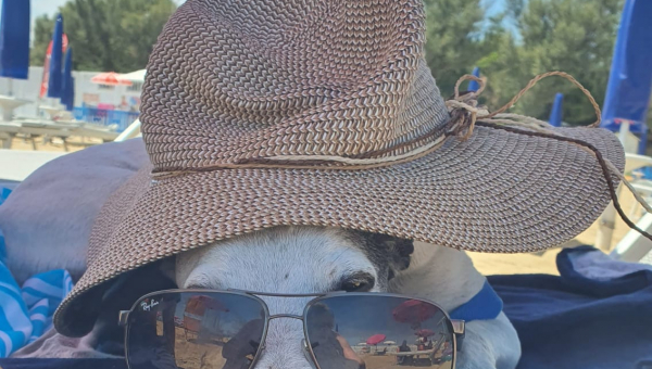 Willkommen im Wochenende