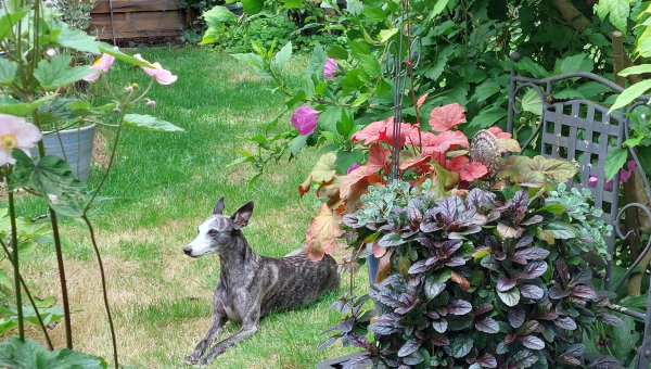 Was ist nun eigentlich Spannendes am Wochenende passiert?