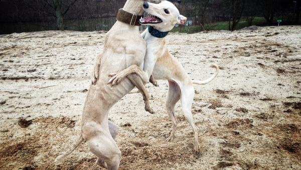 Heute hat uns Kay ganz tolle Nachrichten geschickt