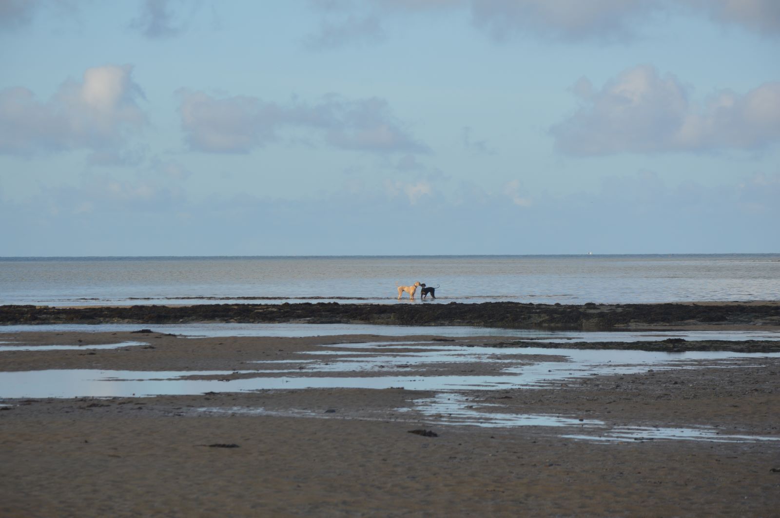 Penny & Stewart machen Urlaub