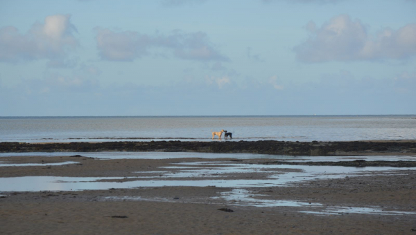 Penny & Stewart machen Urlaub