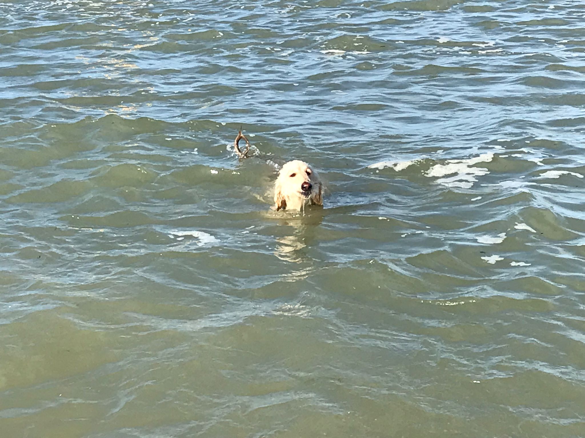 Urlaubsgefühle und anderes