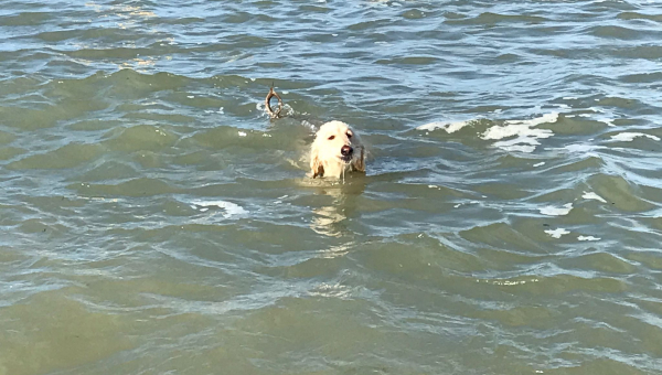 Urlaubsgefühle und anderes