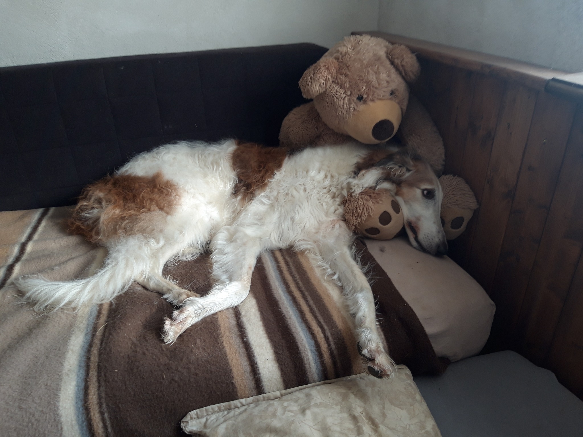 Happy Birthday Anton