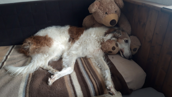 Happy Birthday Anton